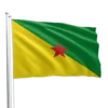 French Guiana Flag