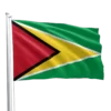 Guyana Flag