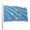 Micronesia Flag