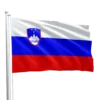 Slovenia Flag