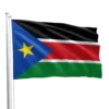 South Sudan Flag