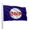 British National Party Flag