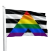 Straight Allies Pride Flag